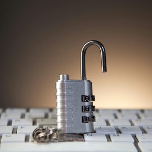 Digital Privacy and Data Protection Awareness